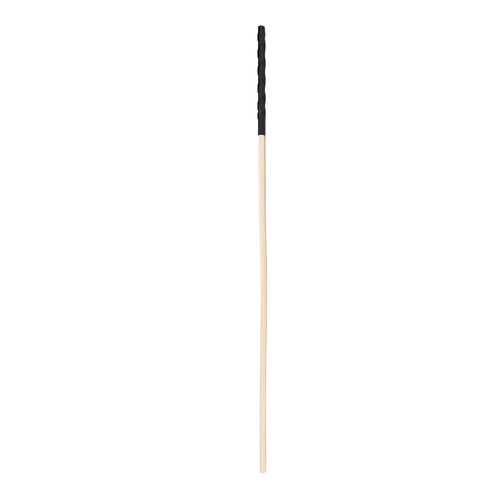 bound-to-please-spanking-cane